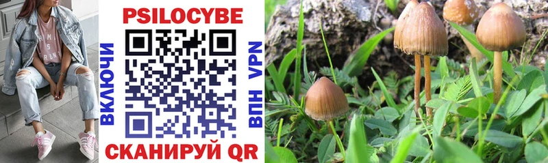 Галлюциногенные грибы Magic Shrooms  Зея 