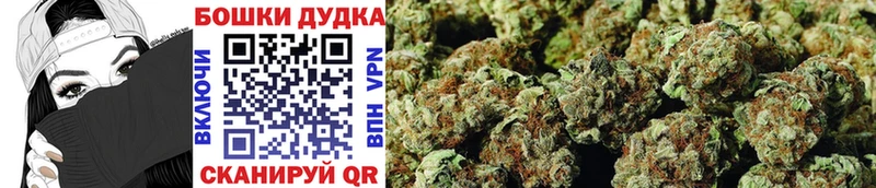 кракен маркетплейс  Зея  Бошки Шишки гибрид 